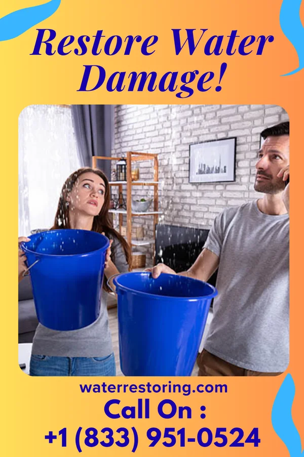 water restoration Ultimate Water Removal Co Mystic