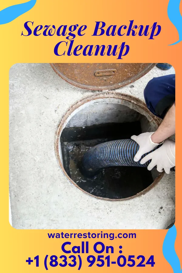 Sewage Backup Cleanup in Mystic, IA